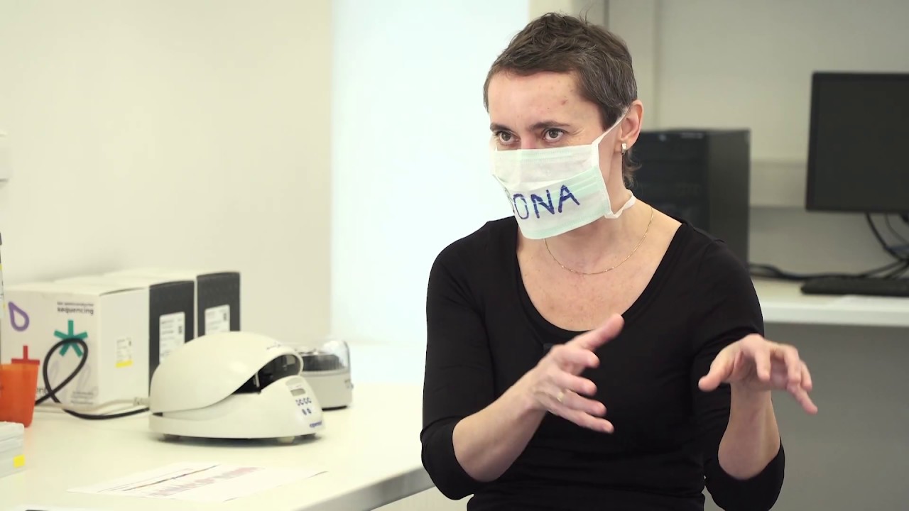 Vědci se přou o to, zda mutace uvnitř koronaviru vznikly uměle v laboratoři, nebo ne