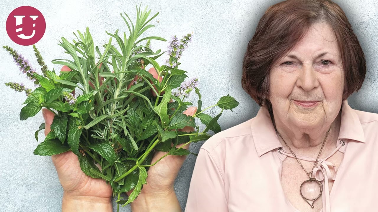 Anna Strunecká 3. díl: U stovek bylin je prokázáno, že fungují. Dnes jsou tyto informace potlačovány