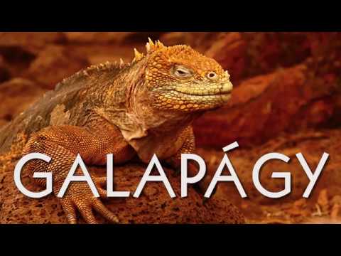 GALAPÁGY