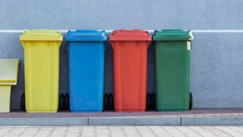 Proměny ekologického chování Čechů po sametové revoluci
