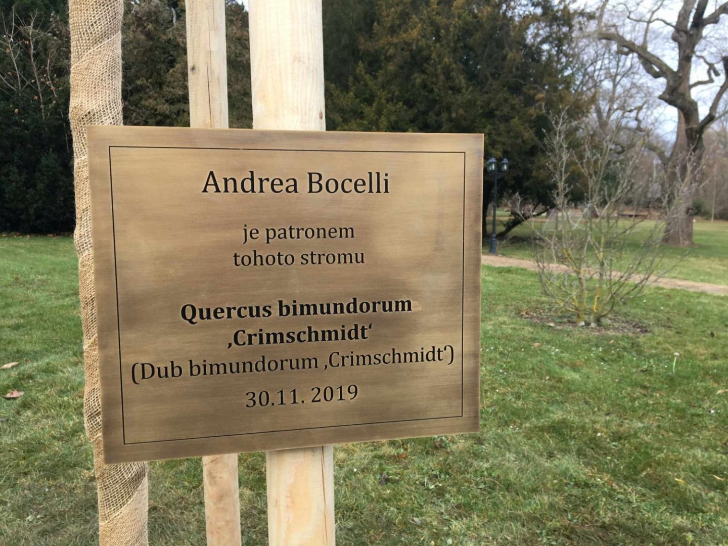 Andrea Bocelli se stal se patronem stromu Dubu „Crimschmidt“.  ((Jan Žirovnický / Zámek Liteň, z. s.)