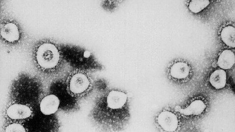 Jak blízko je koronavirus Čechám?