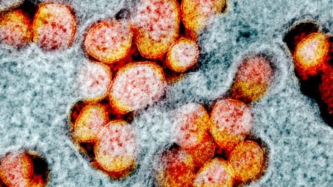 Průjem by mohl být prvním příznakem viru KS Číny: Studie