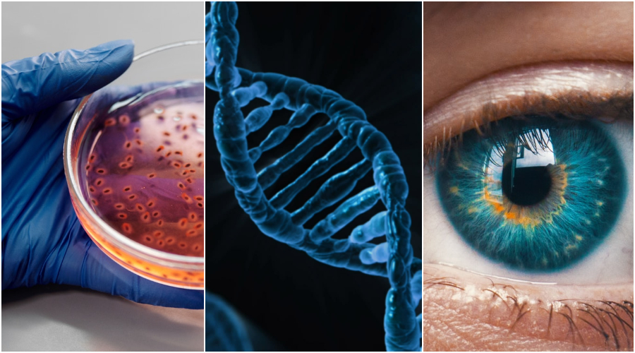 (Zleva) Výzkum DNA. (Edward Jenner / Pexels), Šrpubovice DNA. (Public domain) Lidské oko. (Amanda Dalbjörn / unsplash.com)