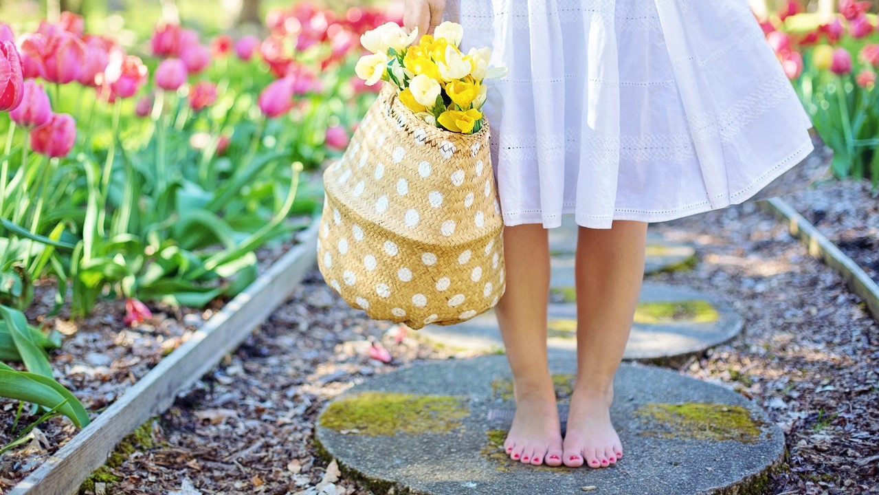 Čas naladit se na předčasné probouzení jara. (Jill Wellington / Pexels)