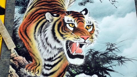 Rok tygra slibuje přinést energii a odvahu ke změnám