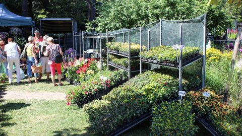 Letní Flora Olomouc kvůli zdražování na poslední chvíli zrušena