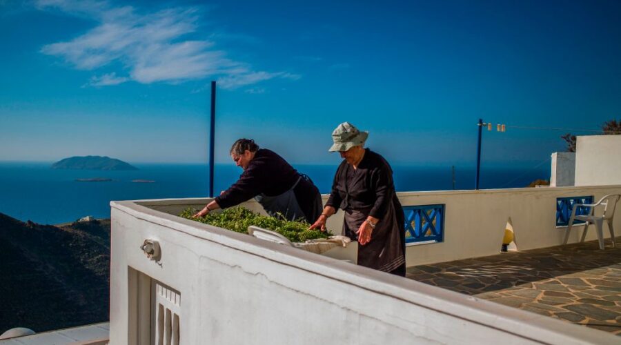 This photograph taken on May 18, 2019, shows 80 year old Flora (L) and 83 year-old Anna island residents as they sort oregano on the Greek Island of Anafi. - On the small Greek island of Anafi -- population 273 -- each ferry arrival is a notable event. With a mere two connections a week to the port of Piraeus, Anafiotes feel little love from the state in distant Athens. The island has a single doctor, ten high-school students, one cash dispenser, that regularly runs dry, and a steadily dwindling citizenry down by half in the last sixty years. (Photo by ANGELOS TZORTZINIS / AFP) (Photo credit should read ANGELOS TZORTZINIS/AFP via Getty Images)