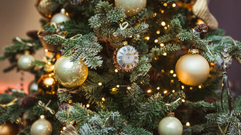 Vánoční stromek – jeho historie a hlubší významy