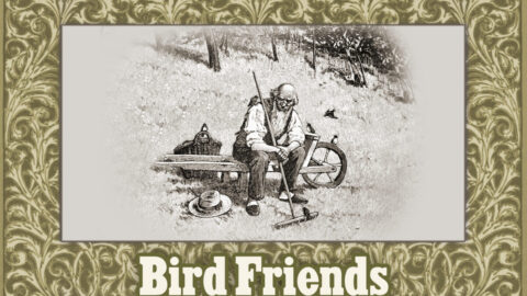 Morálne príbehy pre deti z McGuffey-ho čítaniek: Vtáčí priateľ
