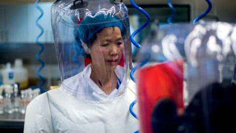 Informace zveřejněné Gabbardovou posilují variantu genetických úprav viru způsobujícího covid-19 a jeho úniku z laboratoře
