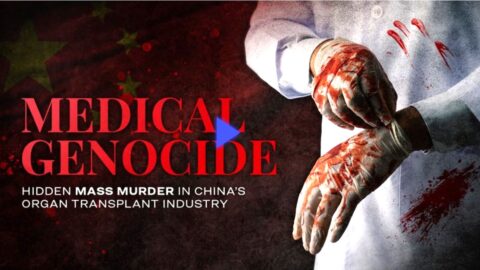 Lékařská genocida: Skryté masové vraždy v čínském transplantačním průmyslu | Dokumentární film