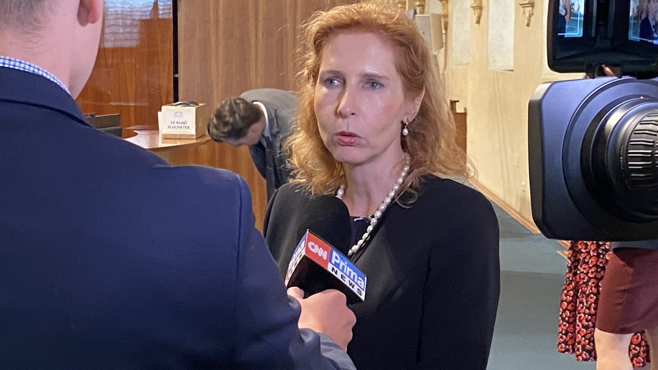 Vedoucí vědecká pracovnice Sociologického ústavu Akademie věd ČR paní Dana Hamplová, Senát 30. května 2023. (The Epoch Times)