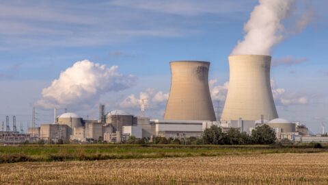 Klimatická aktivistka za jadernou energetiku: „Zelené strany ve Švédsku a Německu jsou proti vědě“