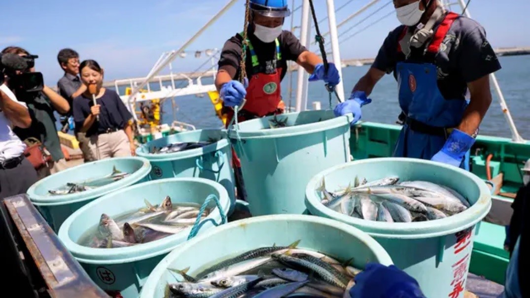 Rybářští dělníci vykládají mořské plody ulovené při rybolovu vlečnou sítí v přístavu Matsukawaura ve městě Soma v prefektuře Fukušima 1. září 2023, (STR / JIJI Press / AFP via Getty Images)