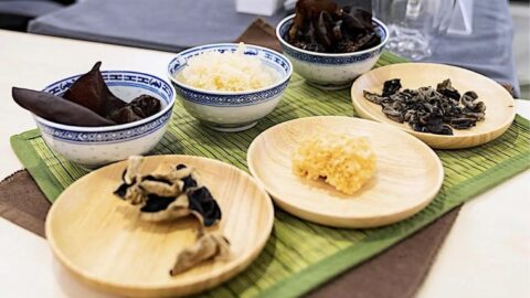4 zdravotní přínosy čínské černé houby (boltcovitky chlupaté)