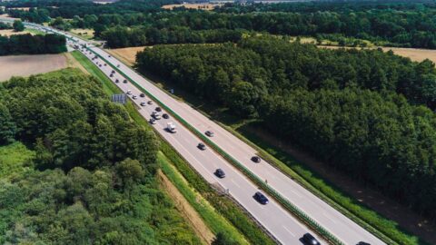 Na dálnicích se ročně stane přes 460 nehod se zvěří, podzim je rizikový