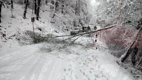 Spadané stromy, výrazně více nehod – s tím se potýkali hasiči jihomoravského a středočeského kraje v sobotu