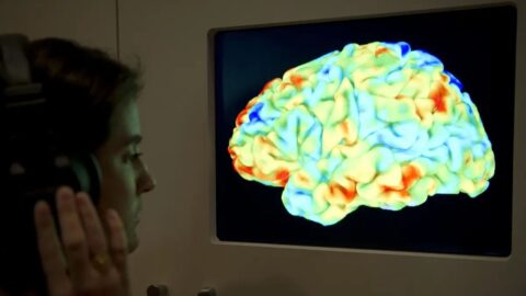 Inteligentní mozky jsou pomalejší při zpracování složitých informací: Studie