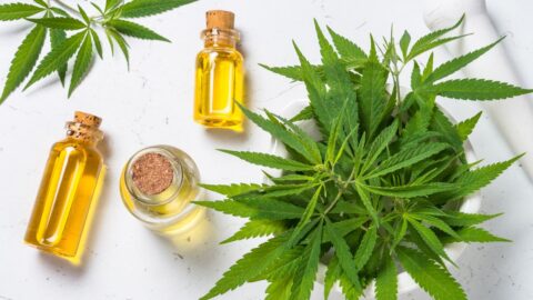 Studie: Konopí může měnit DNA