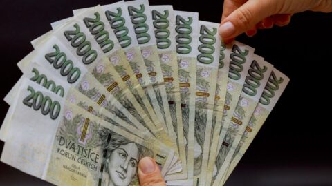 Česko dlouhodobě neřeší potírání korupce, chybí ochota, míní česká Transparency