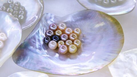 Od starodávného léku k moderní vědě: Perlový prášek má silné účinky na zdraví