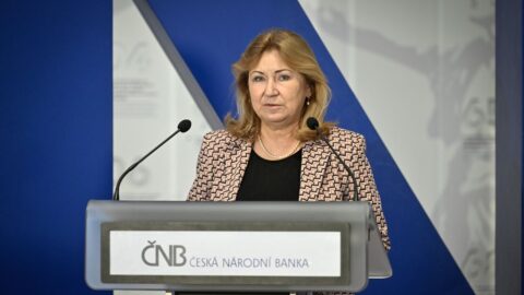 Viceguvernérka ČNB: Rozhodnutí o přijetí eura vyžaduje širší politickou shodu