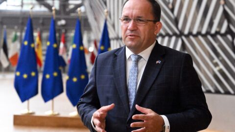 Česko žádá Evropskou komisi, aby snížila počet kontrol zemědělců, uvedl ministr
