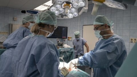 Lékaři v ČR loni transplantovali pacientům 863 orgánů, méně než v roce 2022