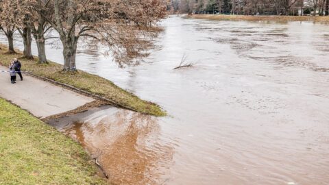 Déšť zvedl hladiny toků, povodňová bdělost či pohotovost platí asi na 50 místech