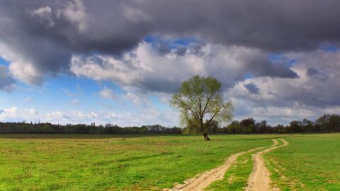 Týden bude nadprůměrně teplý, na východě Česka může být až 17 stupňů