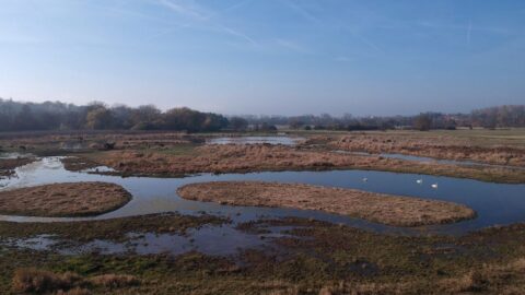 Ornitologové dokončují projekt v Josefovských loukách, vytvořili nový mokřad