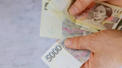 Česko je druhou zemí žebříčku OECD s nejvyšším podílem sociálních odvodů státu