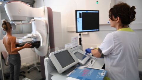 Lidé se dnes mohou zapojit do tradiční sbírky proti rakovině zakoupením žlutého kvítku