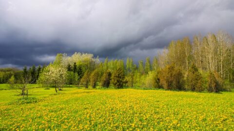 V Česku bude tento týden oblačno, ale teploty vystoupají nad 20 stupňů