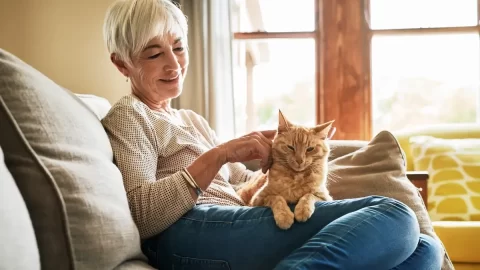 Úbytek estrogenu může vést k vyššímu riziku jaterních onemocnění při menopauze. Co pomáhá?