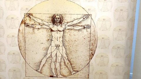 Konference ve sněmovně: Je třeba zařadit fungující prvky akupunktury, homeopatie a biotroniky do oficiálních léčebných postupů