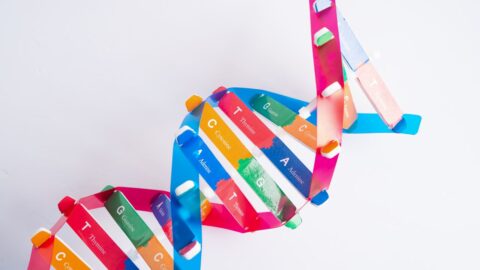Čeští vědci poprvé zobrazili povrchovou strukturu chromozomu v přirozeném stavu