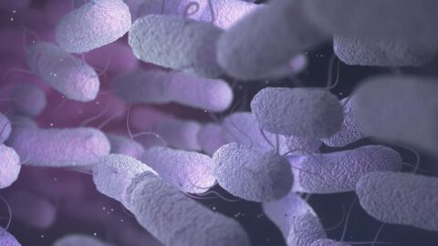 Podle nových vědeckých poznatků o mikrobiomu může být zabíjení bakterií pomocí antimikrobiálních látek a antibiotik krátkozraké