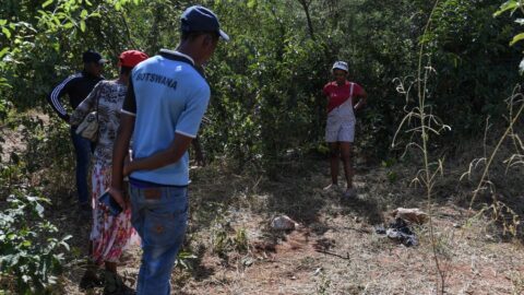 Botswana po nevyřešeném sporu s Německem hrozí zabitím 20 000 slonů