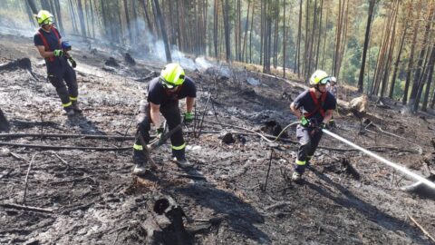 Hasiči byli v létě „na roztrhání“. Měli o 11 tisíc zásahů více než předchozí rok