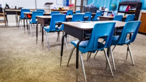 Vyrostla jsem v sovětském komunismu, teď ho znovu nalézám v kalifornských etnických studiích