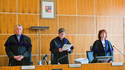 11. z 15. Dita Řepková, další kandidátka prezidenta Pavla na Ústavní soud, se specializuje na trestní právo