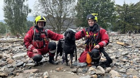Povodně krutě zasáhly i zvířata. Vojenští veterináři jim podávají pomocnou ruku, dobrovolníci krmivo i pohlazení
