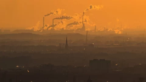 Předpisy na ochranu životního prostředí, které nás mají uklidnit, planetu nezachrání, ale spotřebitelům škodí