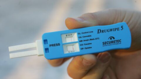 Policie na Slovensku zadržela českého strojvůdce RegioJetu kvůli pozitivnímu testu na drogy