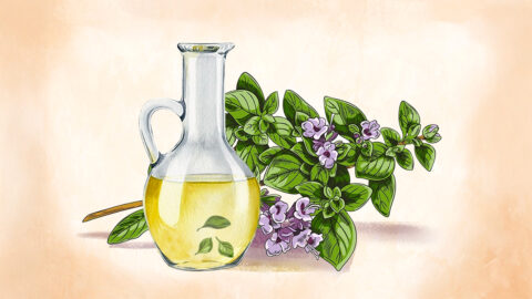 Oregano: Nejen na pizzu, ale i na zdraví