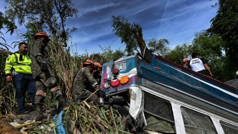 Den v obrazech: Nehoda autobusu v Guatemale, Požár buše v Argentině a Výstava psů v New Yorku