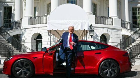 Den v obrazech: Donald Trump podporuje Teslu, Volby v Grónsku a Zachráněné slůně