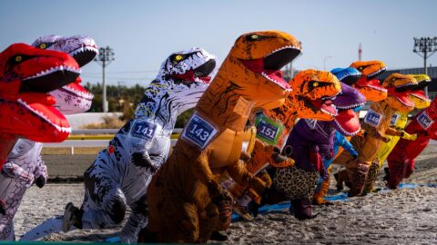 Den v obrazech: Závod tyranosaurů, Protesty v Německu a Britské mistrovství v gymnastice